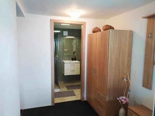 a bathroom with a shower and a wooden cabinet at Apartmán na Rybářské in Zábřeh