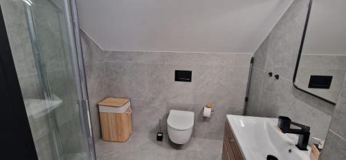 a bathroom with a shower and a toilet and a sink at Apartament ENKLAVA in Tylicz