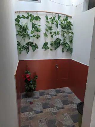 リオアチャにあるapto #5 cómodo y acogedor en lugar estratégicoの壁に植物がたくさん並ぶ部屋
