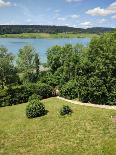 an aerial view of a field with a lake and trees at Duplex Le Reflet du Lac in Malbuisson