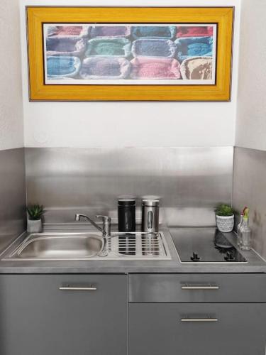 un comptoir de cuisine avec un évier et un tableau sur le mur dans l'établissement chazi and cosy, à Toulouse