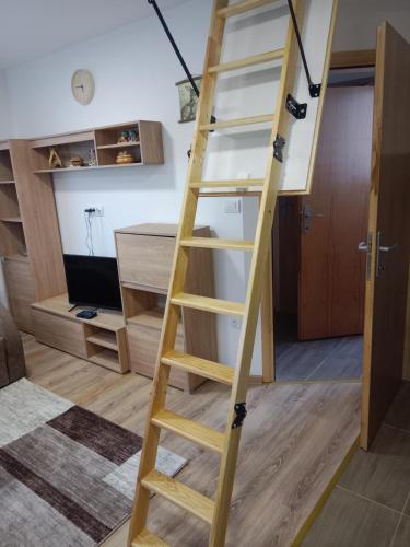 TV a/nebo společenská místnost v ubytování Vila Tutić Apartman 1 i Apartman 2