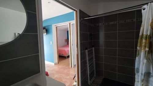uma casa de banho com uma cabina de duche ao nível do chão e um espelho. em 2 Maisons de 3 et 2 chambres avec grande piscine commune em La Teste-de-Buch