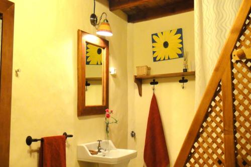 a bathroom with a sink and a mirror at Finca El Oratorio in Masdache