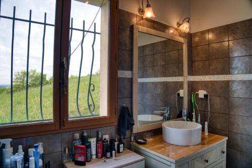 a bathroom with a sink and a mirror and a window at Domaine des Rigaud in Garchizy