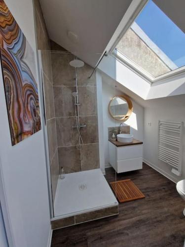 une salle de bain avec une douche avec un lavabo et un miroir dans l'établissement Le ciel étoilé, Belfort ville, à Belfort