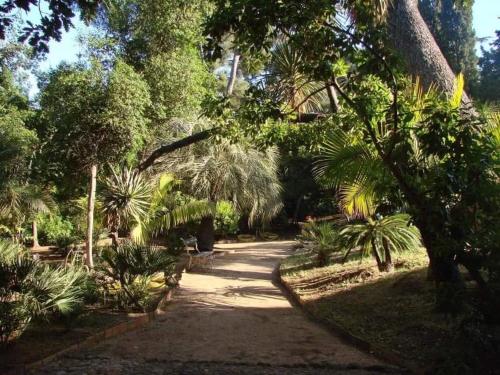 גינה חיצונית ב-Studio en front de mer avec balcon et climatisation