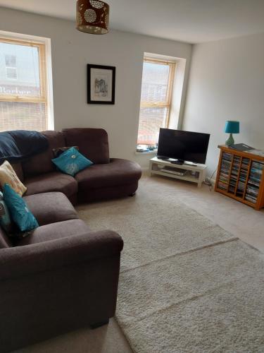 a living room with a couch and a flat screen tv at Atrium apartment B in Bangor