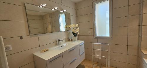 une salle de bain avec un lavabo et un miroir dans l'établissement Luxe et Confort à Porto-Vecchio, à Porto-Vecchio