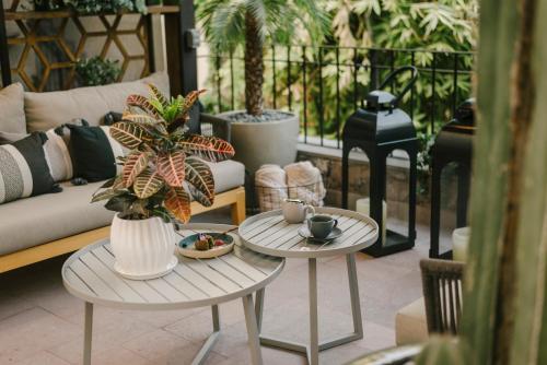 Posezení v ubytování Hotel Apapacho Boutique