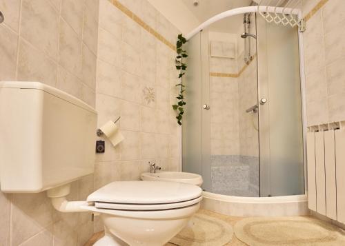een badkamer met een toilet en een douche bij Baredinka Izola in Izola