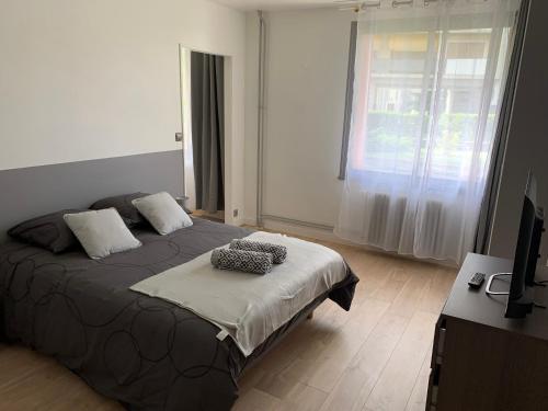 Un dormitorio con una cama con dos almohadas encima. en Mission 36 - Wifi - Calme et tranquillité - Résidence Beauséjour, en Troyes