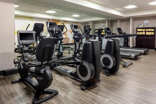 a gym with rows of treadmills and elliptical machines at Hyatt Place-Dallas/Arlington in Arlington