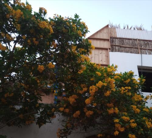 العصله – Photos 3