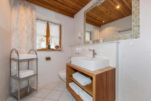 a bathroom with a sink and a toilet at Ferienhaus Alpenblick in Mittenwald