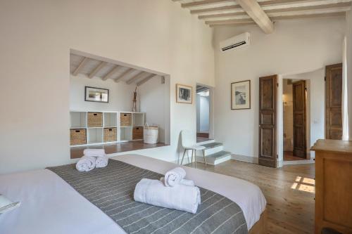 Panoramic loft with terrace near Ponte Vecchio