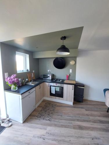 une cuisine avec un évier et une cuisinière four supérieur dans l'établissement Ty maligorn, à Brandérion