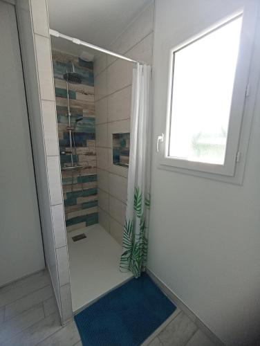 La salle de bains est pourvue d'une douche avec une plante. dans l'établissement Maison Jun, à Josse