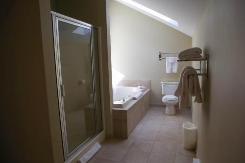 a bathroom with a shower and a sink and a toilet at Silver Birches Resort in Hawley