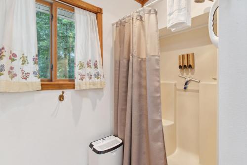 a bathroom with a shower curtain and a window at Serene Yellville Retreat with Hot Tub on 85 Acres in Cotter