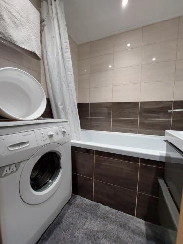 a bathroom with a washing machine and a sink at Patogus poilsis prie ežero/Comfortable rest in Visaginas
