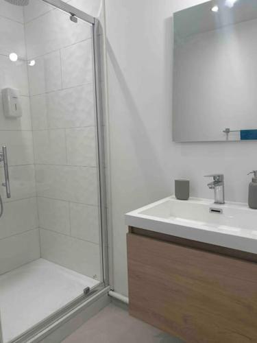 une salle de bain avec douche et lavabo dans l'établissement 101, à Jasseron