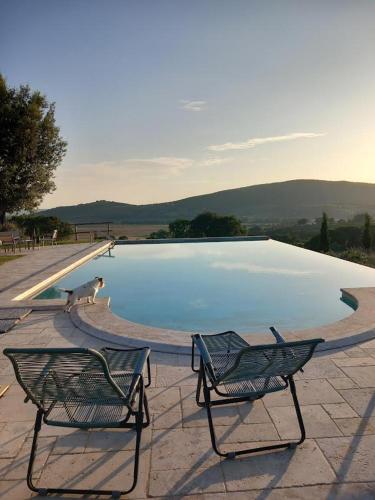 two chairs sitting next to a swimming pool at Wine Glamping Le Sedici in Massa Marittima