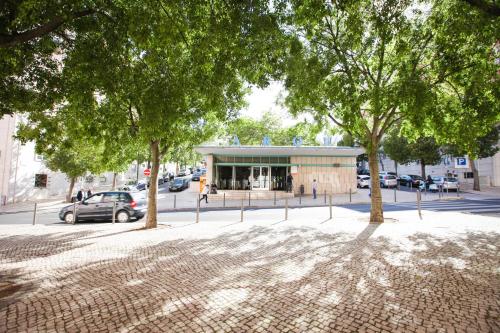 a group of trees in front of a building at Glamorous Apartment Park Ed VII in Lisbon
