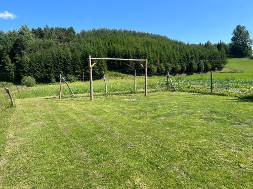a field with a soccer goal in a field at Agroturystyka Radzewicz in Wiżajny