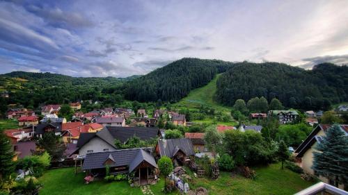 an aerial view of a small village in the mountains at Willa Kania in Szczawnica