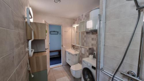 穆斯特韋的住宿－Mustvee Puhkemaja，一间带卫生间和水槽的小浴室