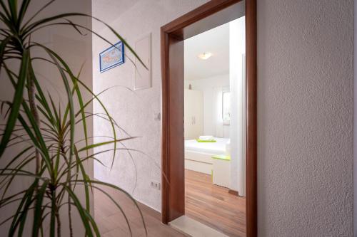 a hallway with a mirror and a plant at Guest House Milan in Hvar