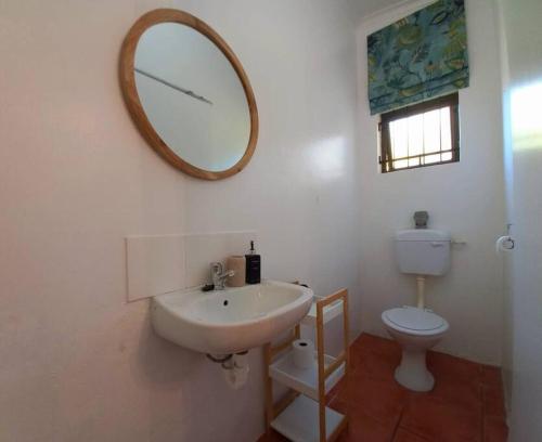 un bagno con lavandino, WC e specchio di Cozy Garden Cottage! a Grahamstown