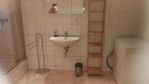 a bathroom with a sink and a trash can at Ferienwohnung Sonnenblick in Burkhardtsdorf