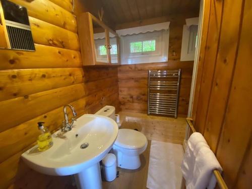 a bathroom with a sink and a toilet in a log cabin at Cabin in Trawsfynydd