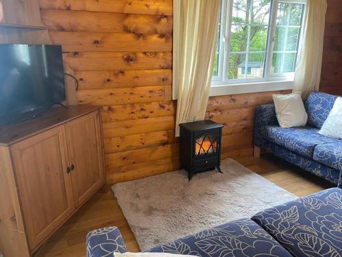 a living room with a television and a stove at Cabin in Trawsfynydd