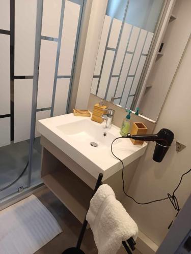 une salle de bain avec un lavabo blanc et un miroir dans l'établissement Erreka pays basque, à Hasparren