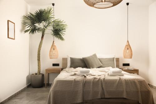 a bedroom with a bed and a palm tree at Studio Apartment 5, Unique Location - Sea View in Lithakia