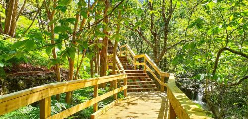 a wooden path in a forest with trees and stairs at Sweet Home - Praia das Rocas in Castanheira de Pêra