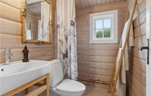 y baño con aseo, lavabo y espejo. en 3 Bedroom Lovely Home In Frvang, en Fårvang