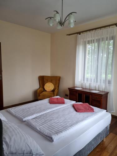 - une chambre avec un lit, une chaise et une fenêtre dans l'établissement Willa Janów, à Solec-Zdrój