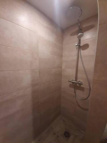 une salle de bain avec une douche avec pommeau de douche dans l'établissement Plein centre de station, au pied du Garibeuil, à Valberg