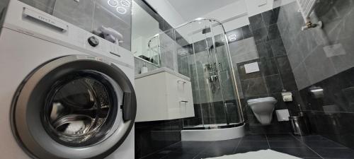 a washing machine in a bathroom with a toilet at Relax Home Apartment Q in Iaşi