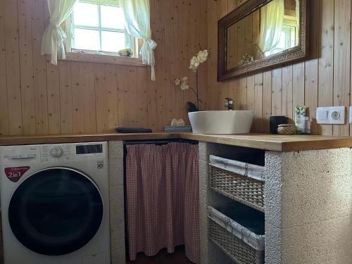 y baño con lavadora y lavamanos. en Villa Vita, en Seimėnai