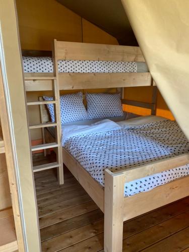 a bunk bed with a ladder in a bunk room at Glampingtent - Camping Botniahiem - Damwoude-dichtbij Dokkum in Dantumawoude