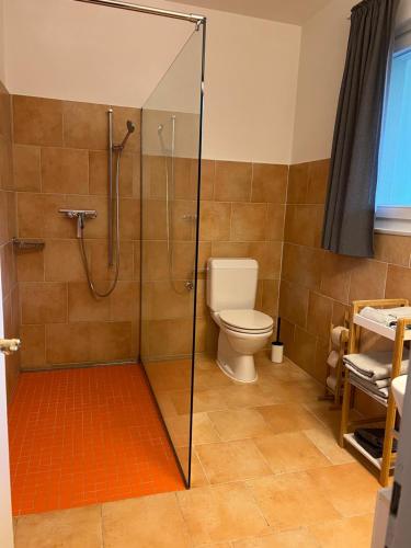 a bathroom with a shower and a toilet at Casa Romana in Gambarogno