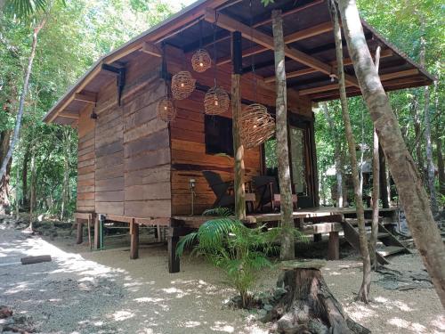 una cabaña de madera en medio de un bosque en Chéel lodge & Camping, en Puerto Morelos