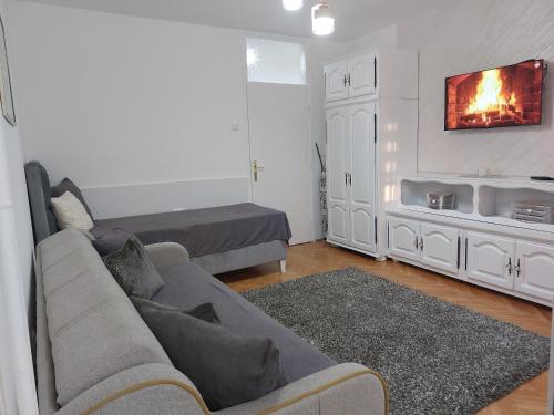 a living room with a couch and a fireplace at Studio Aleksandar in Novi Pazar