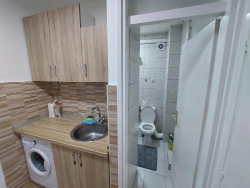 a small bathroom with a sink and a toilet at Studio Aleksandar in Novi Pazar