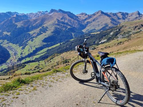 een fiets geparkeerd aan de kant van een bergweg bij Haus Viktoria in Mayrhofen